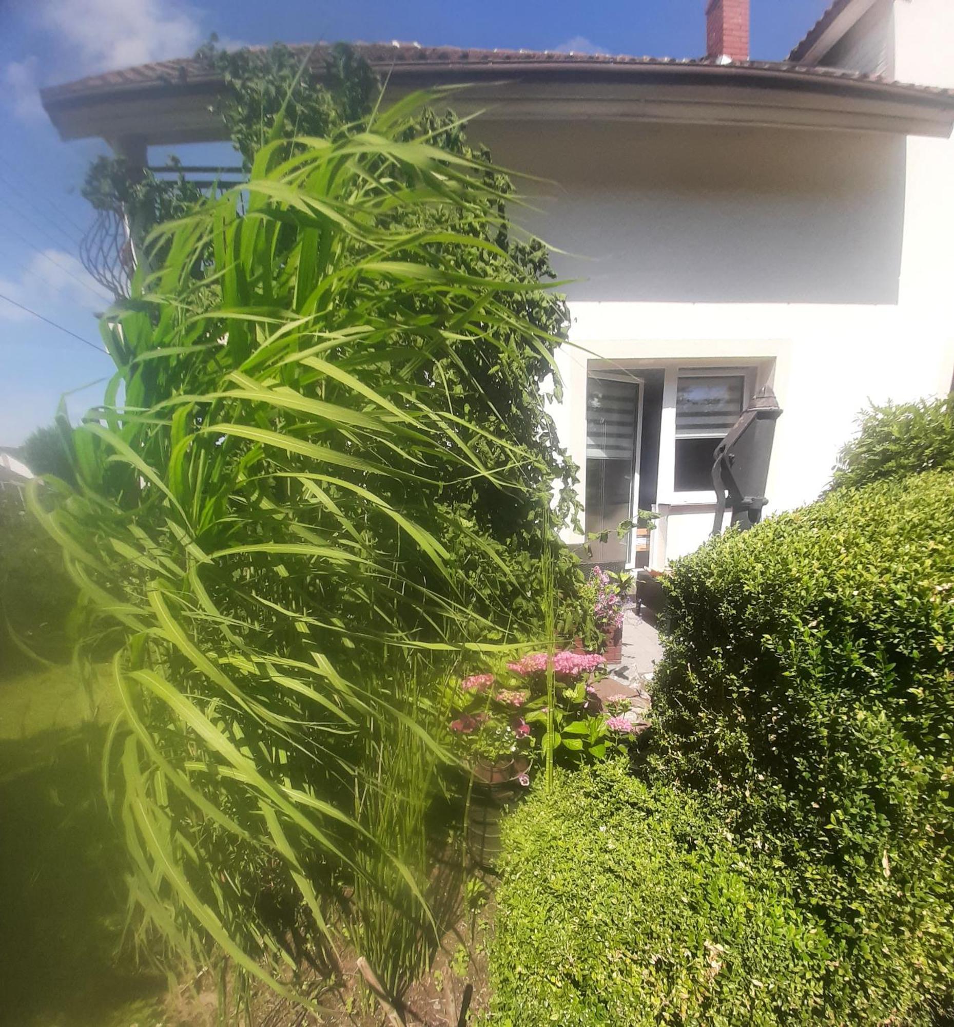 Pokoje gościnne Cuma Łeba Pokój zdjęcie